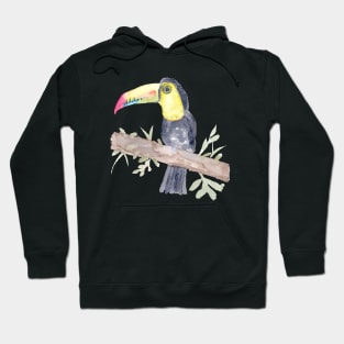 Watercolor Toucan Hoodie